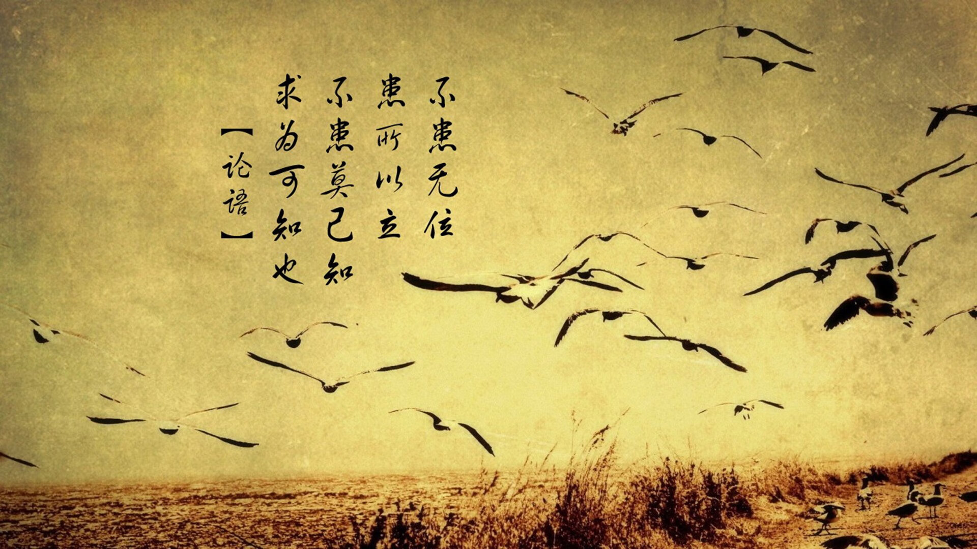 《青少年电竞政策推动:保护未成年人健康成长》,青少年电竞训练营价格