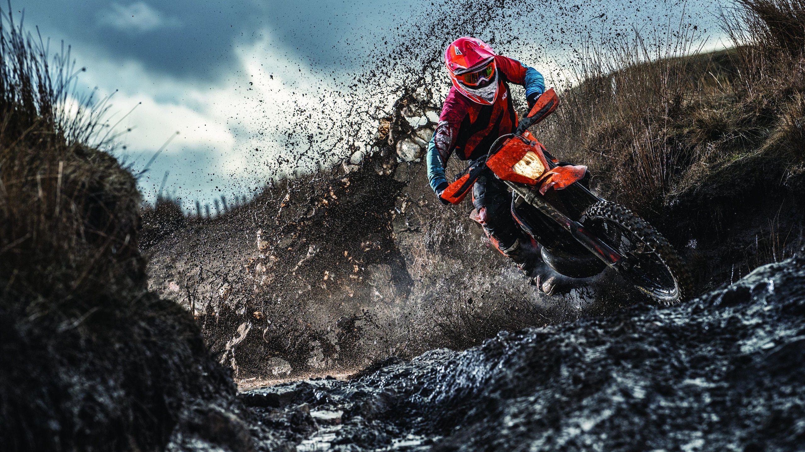 男子蝶泳荷兰强将展身手，男子蝶泳金牌