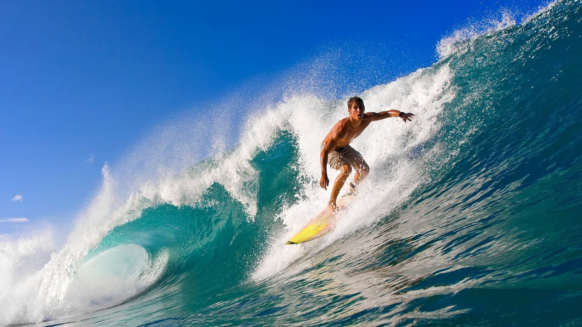 美洲杯荣耀夜：明星闪耀的最强舞台，美洲杯冠军奖杯叫啥