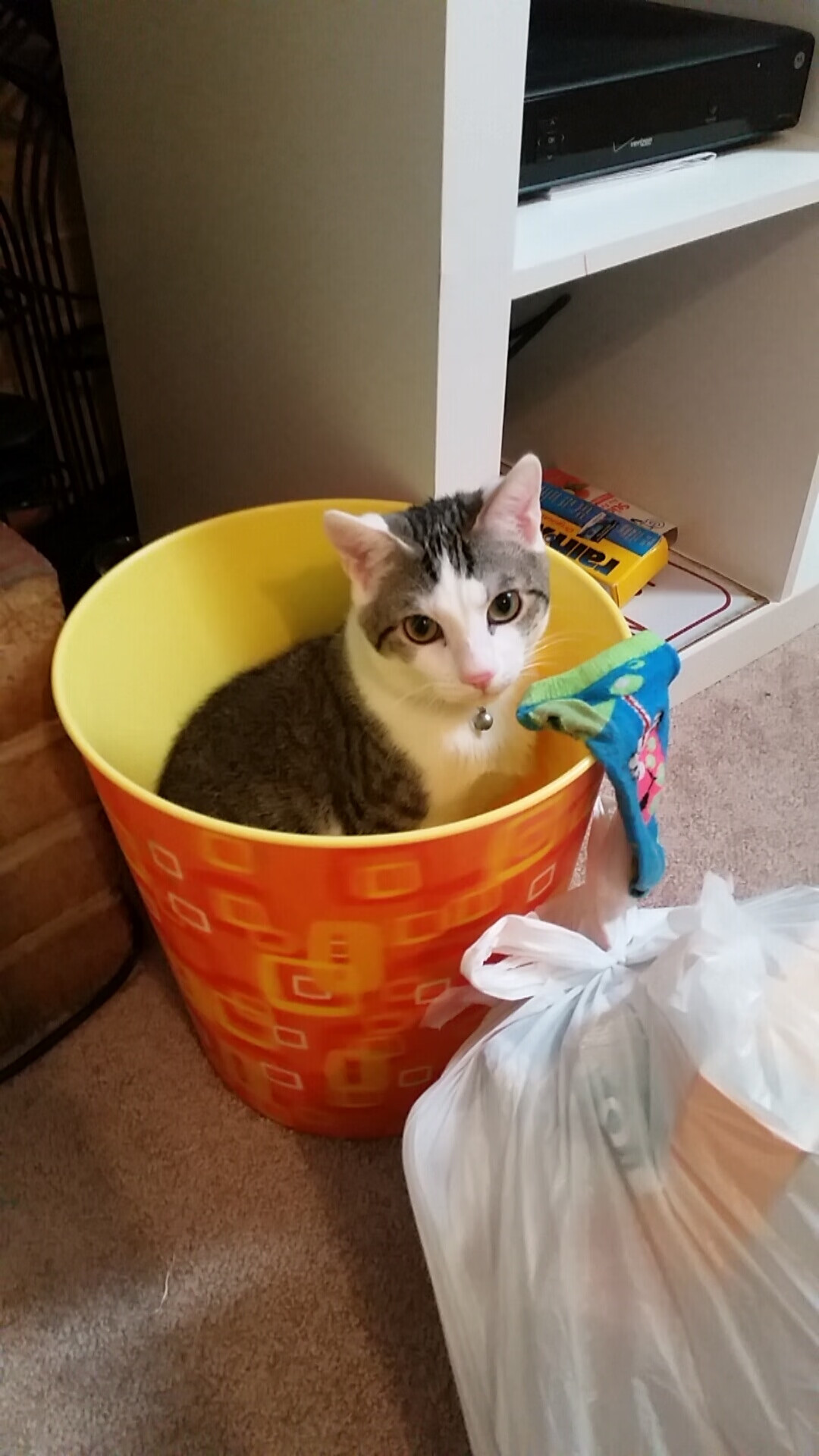 kaiyun体育app-_湖人战斗精神焕发，期待持续胜利_，湖人 how many more