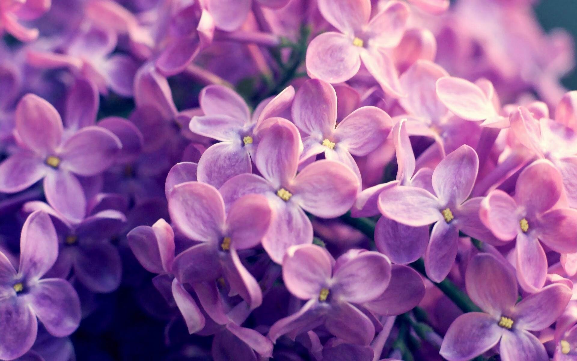 开云竞猜官网-“场外趣事：明星球员的暖心生活”，明星球员足球